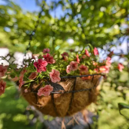 Teres Hébergement de vacances *